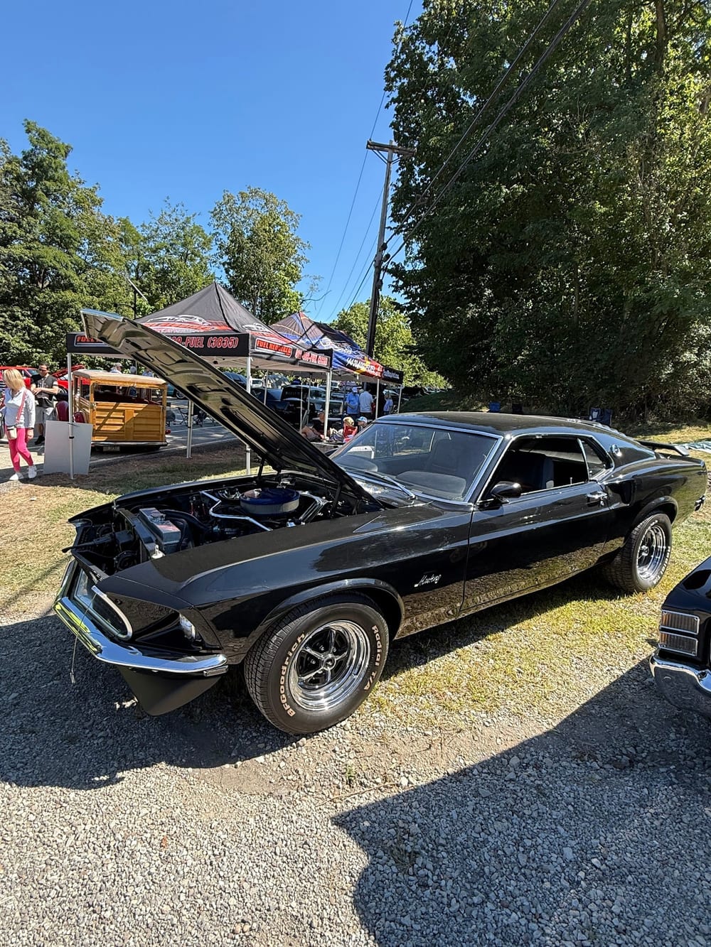 South Park Dog Park, photo 3