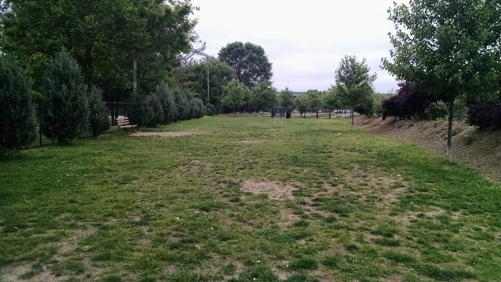 South Side Dog Park, photo 2