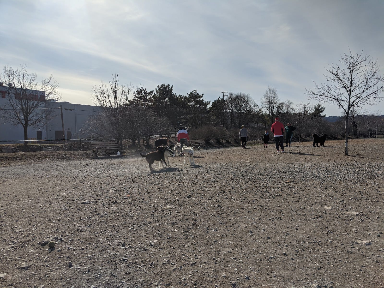 South Side Dog Park