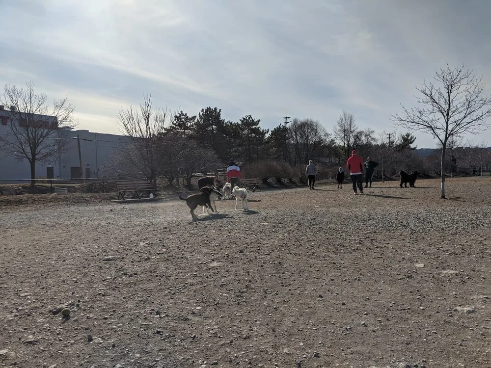 South Side Dog Park, photo 3