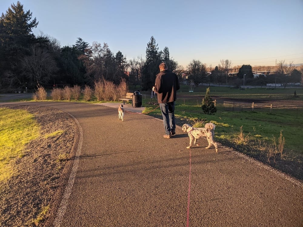 Chimney Park, photo 2