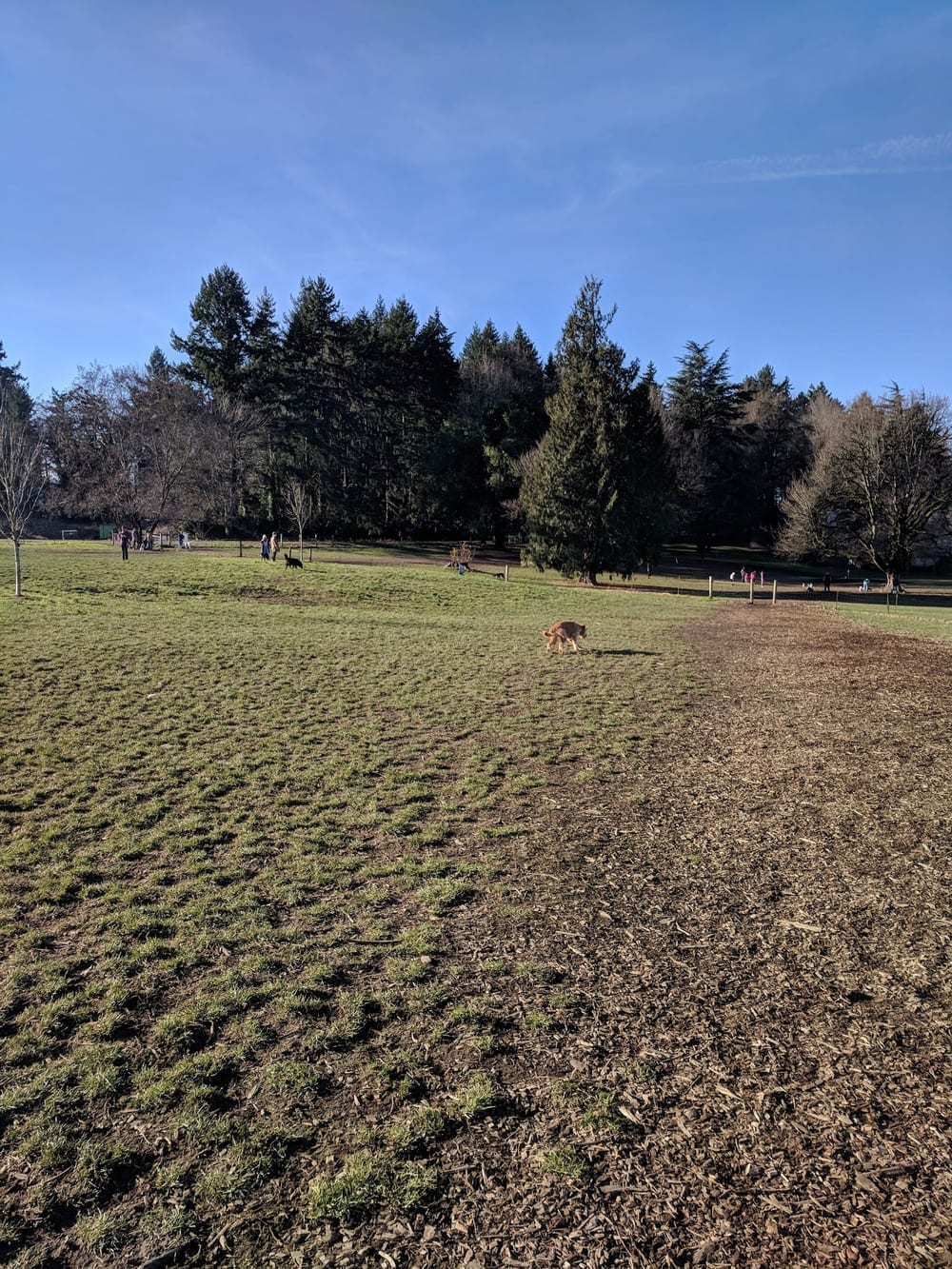 Chimney Park, photo 3