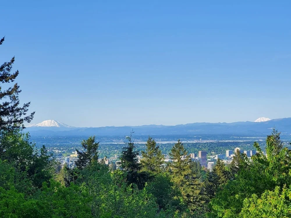 Council Crest Park, photo 2