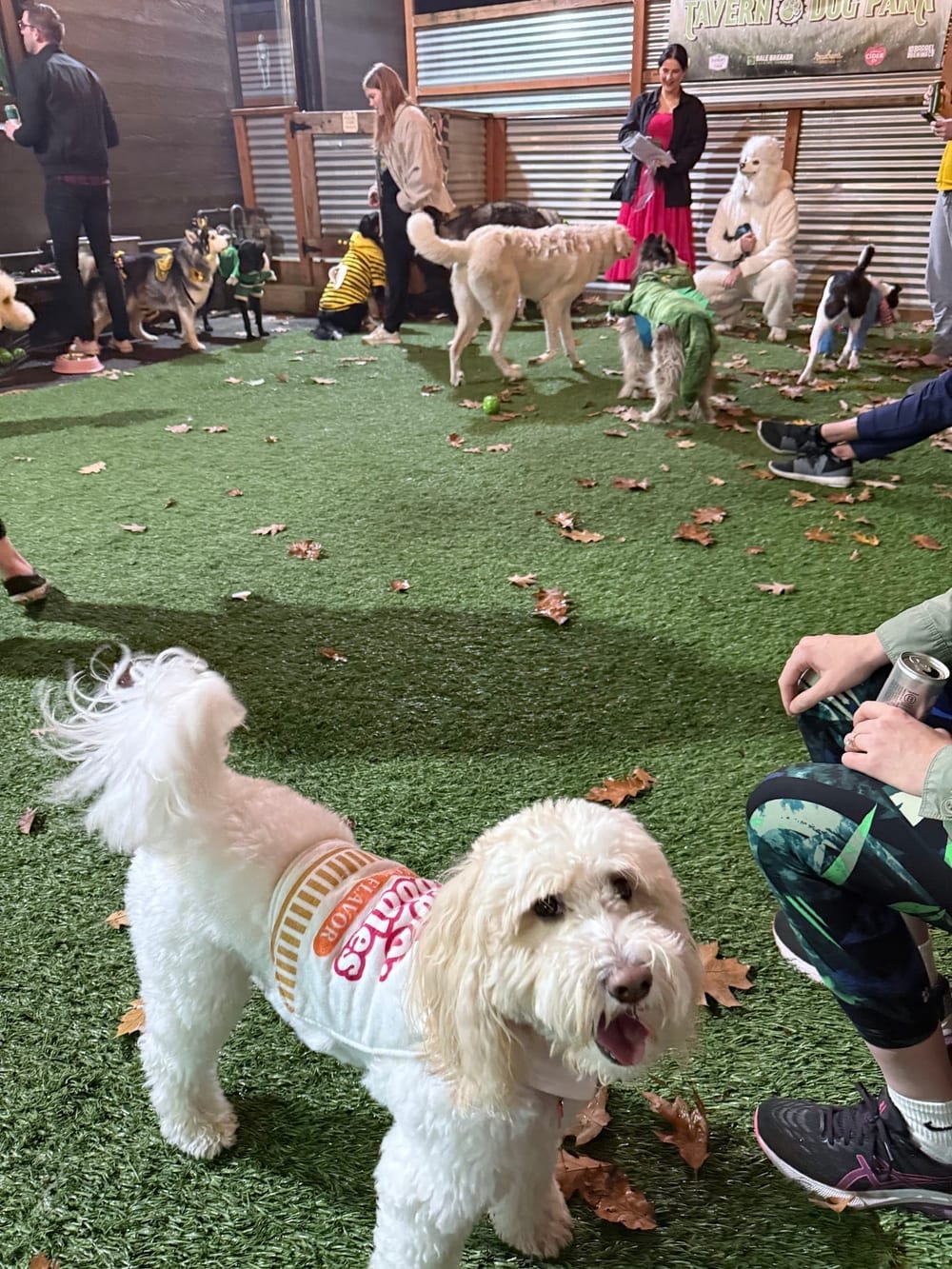 Cycle Dog - Earth Friendly Pet Company Tavern And Dog Park, photo 2