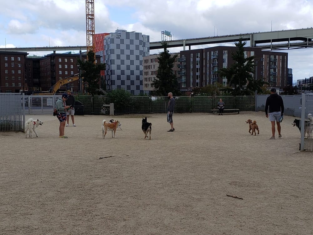 Off-Leash Dog Area, photo 3