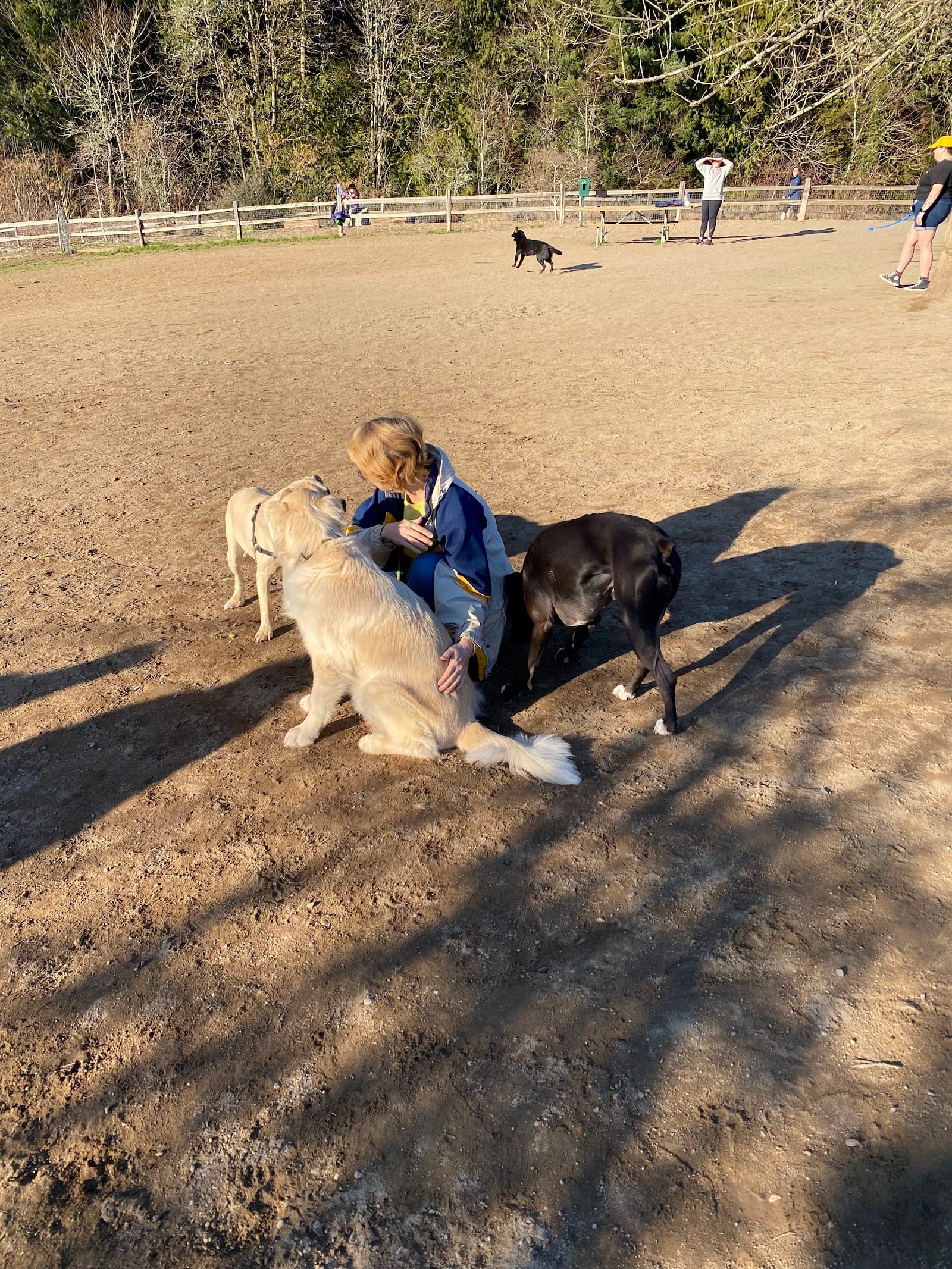 Gabriel Off-Leash Dog Park