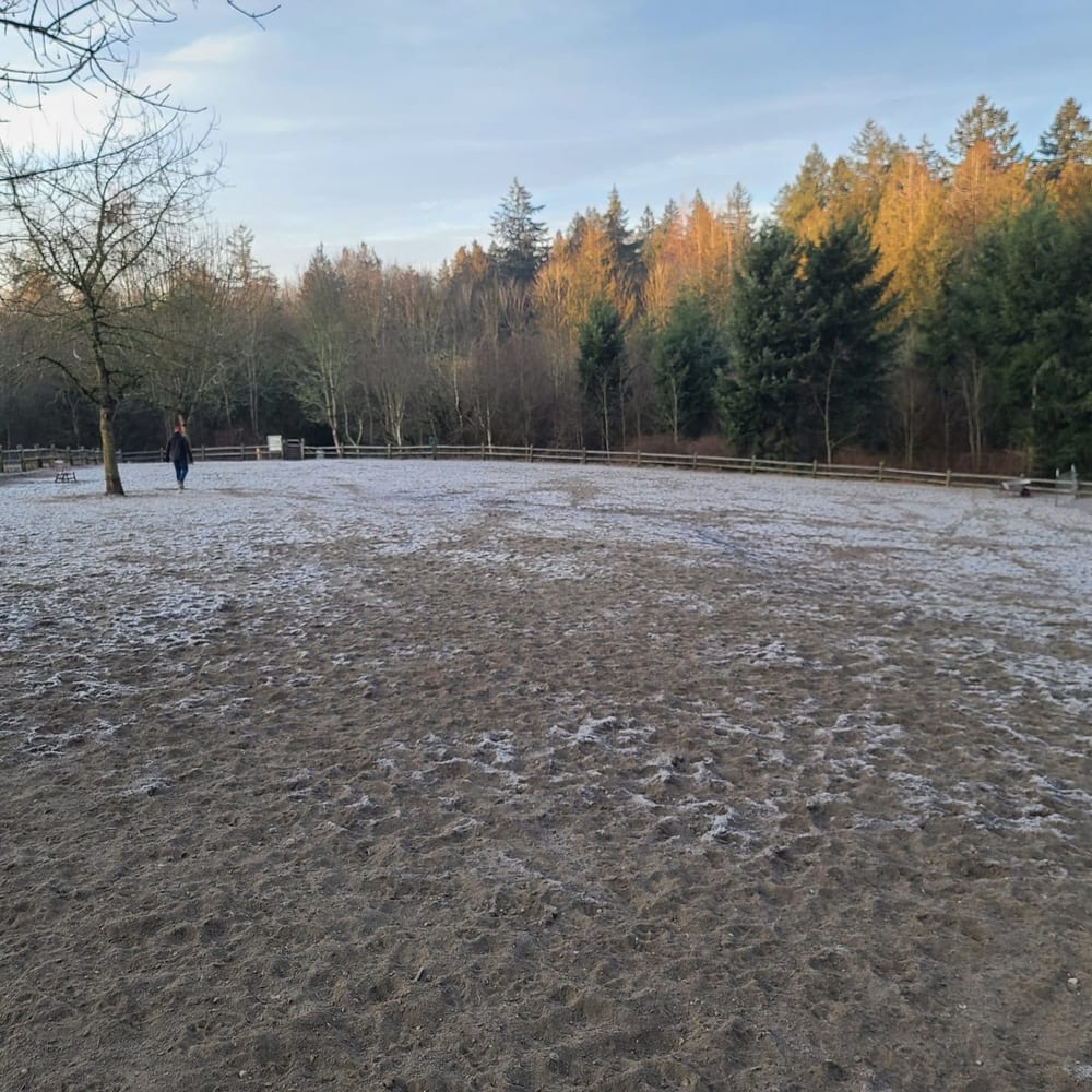 Gabriel Off-Leash Dog Park, photo 2