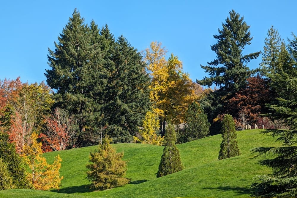 Gabriel Park, photo 3