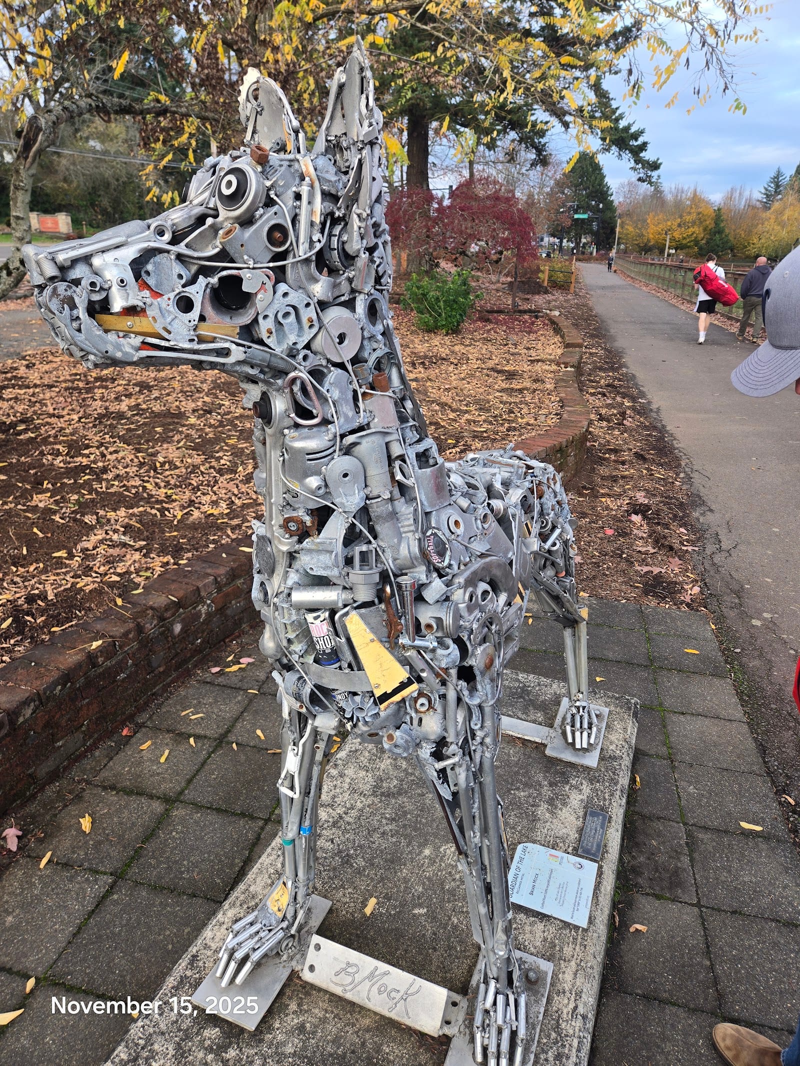 Dog park in Portland