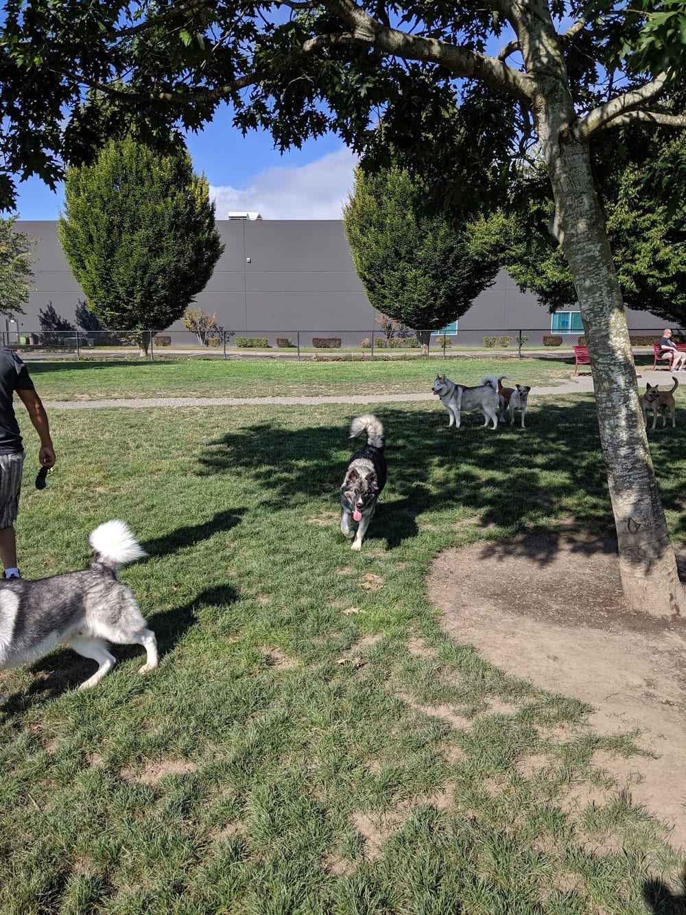 Hondo Dog Park, photo 3