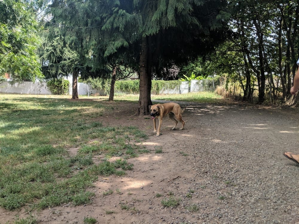 Ike Memorial Park, photo 2