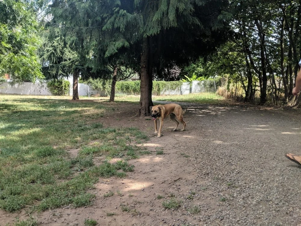 Ike Memorial Park, photo 2