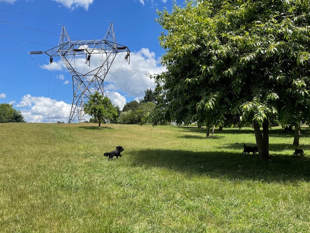 Ike Memorial Park, photo 3