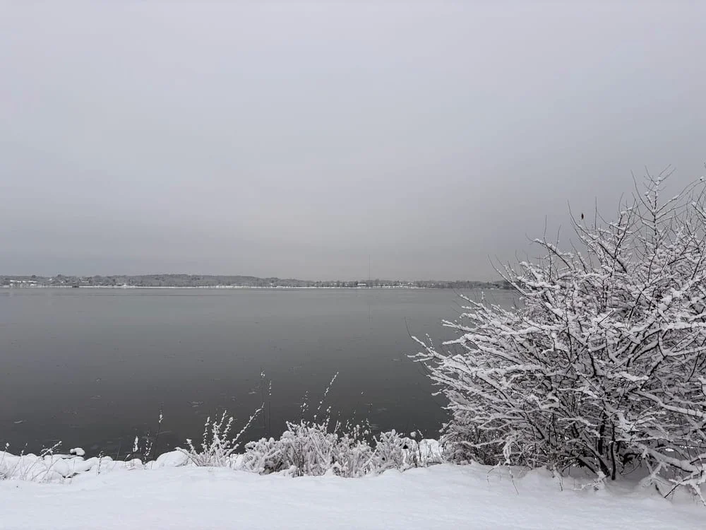 Back Cove Park, photo 2