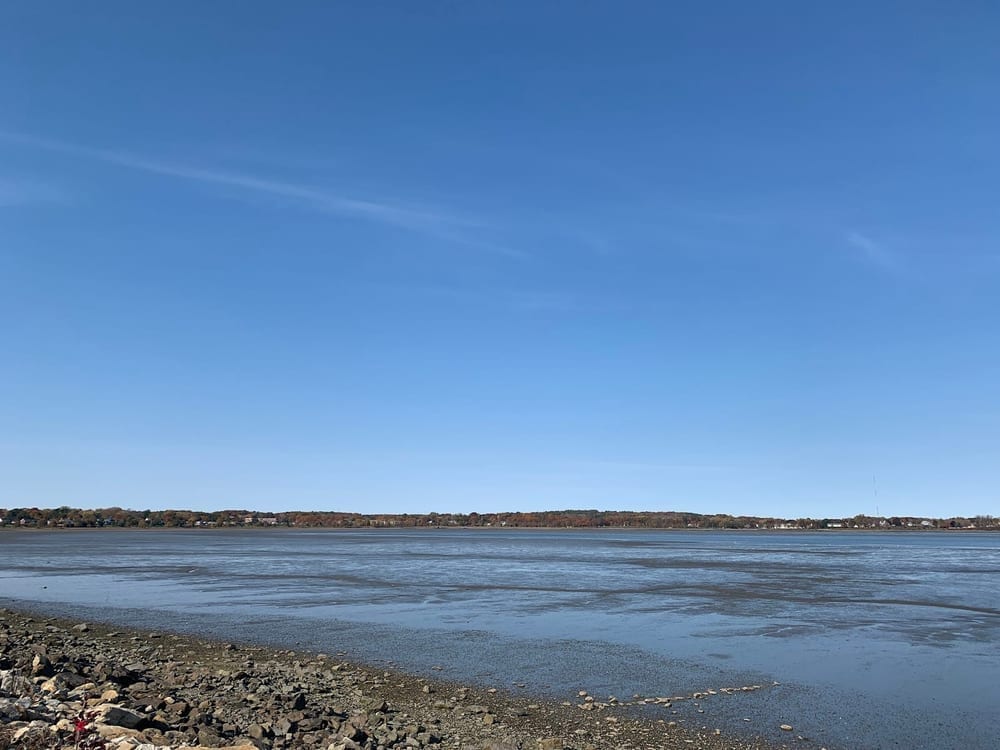 Back Cove Park, photo 3