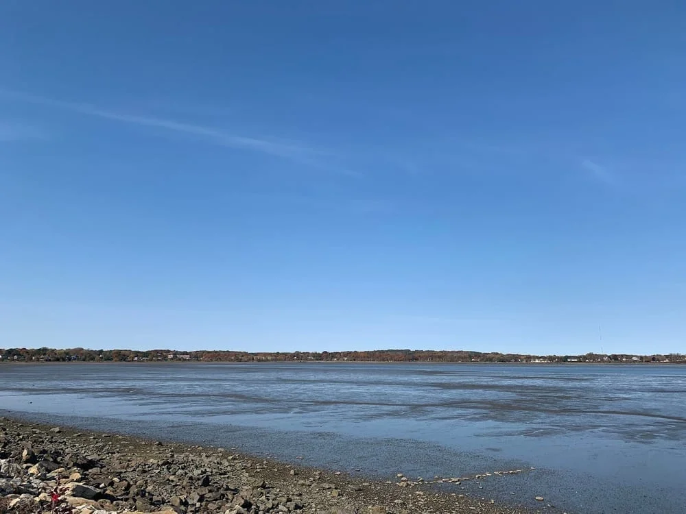Back Cove Park, photo 3