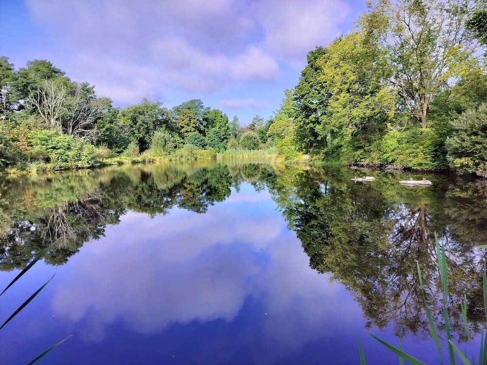 Capisic Pond Park, photo 3