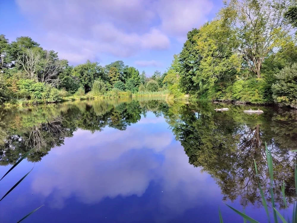 Capisic Pond Park, photo 3
