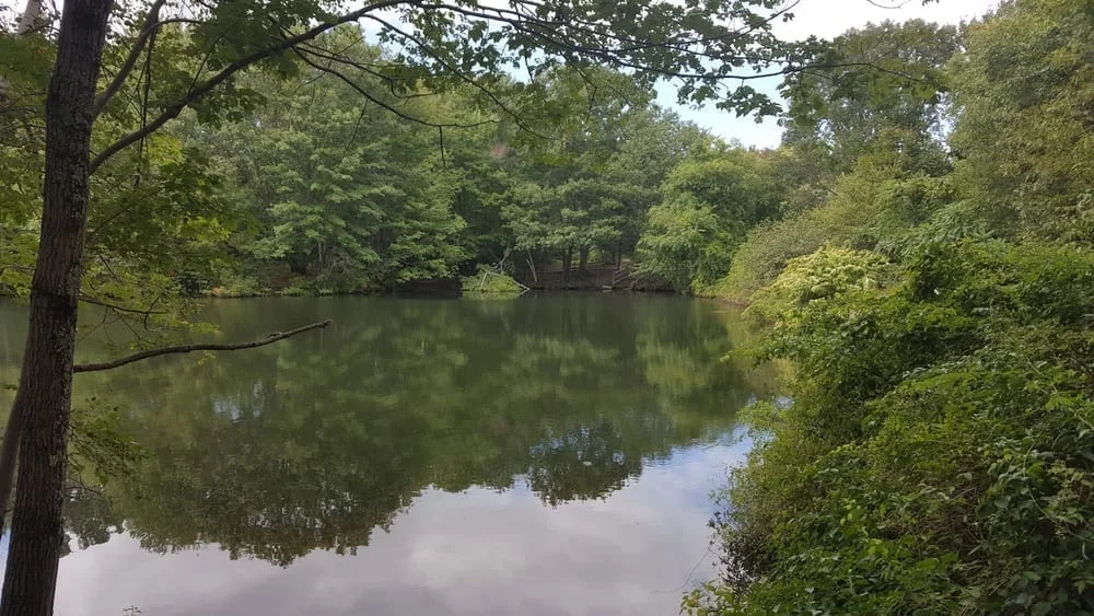 Hinckley Park, photo 2