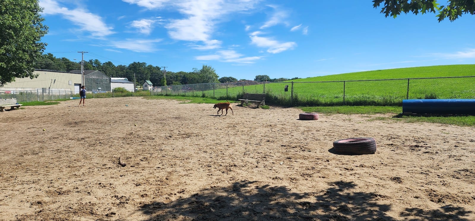 Kennebunk Dog Park