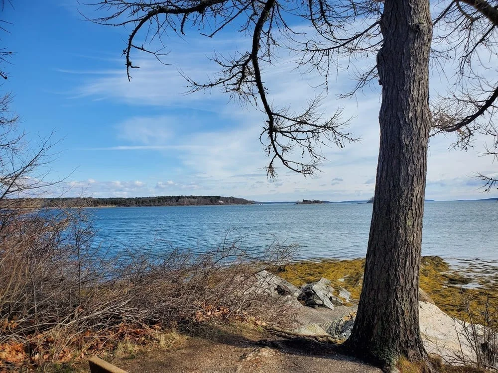 Mackworth Island State Park, photo 2