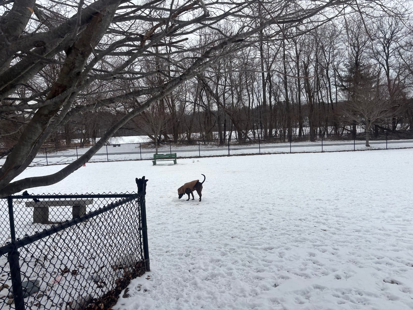 Merrymeeting Dog Park