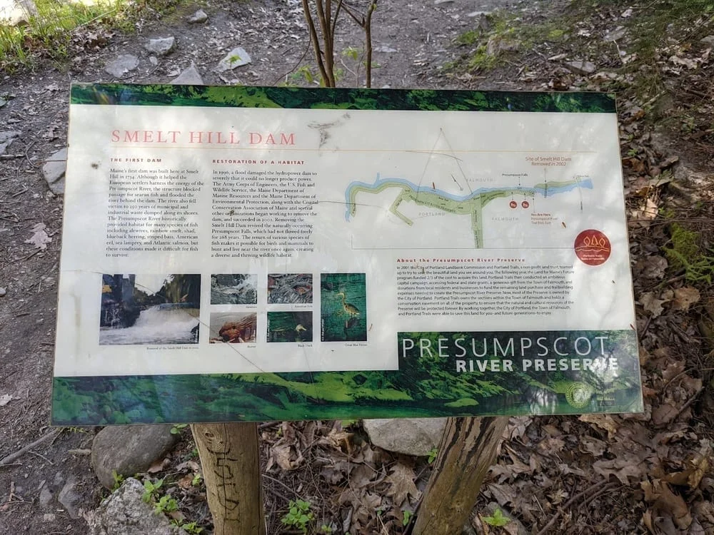 Oat Nuts Park Trail, photo 3