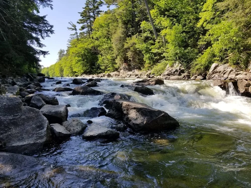 Presumpscot River Preserve, photo 2