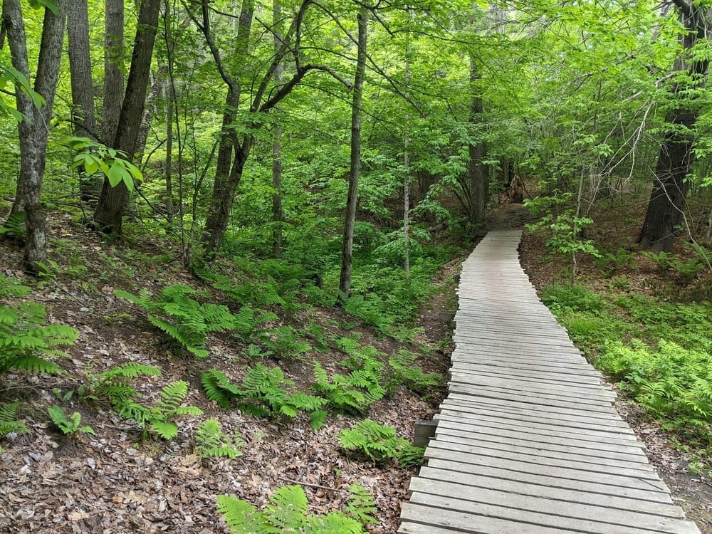Presumpscot River Preserve, photo 3