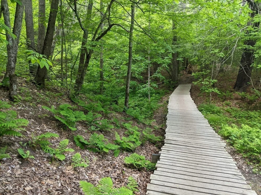 Presumpscot River Preserve, photo 3