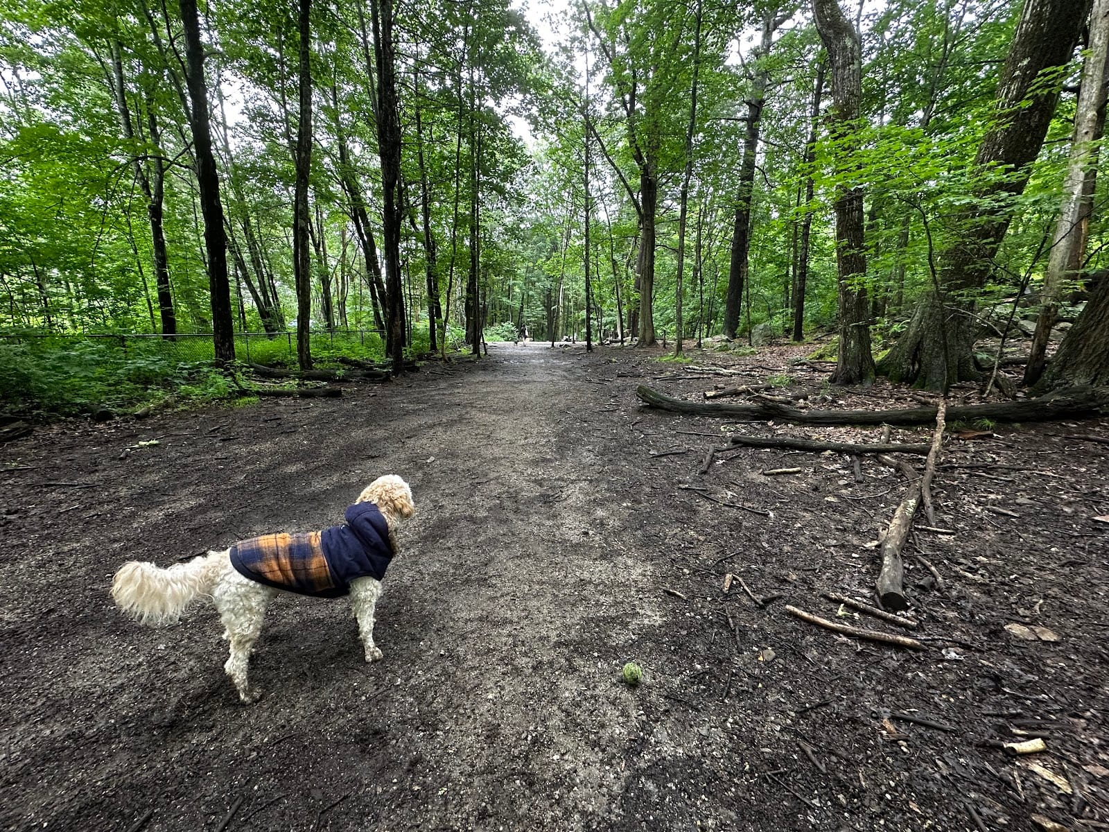 Quarry Run Dog Park