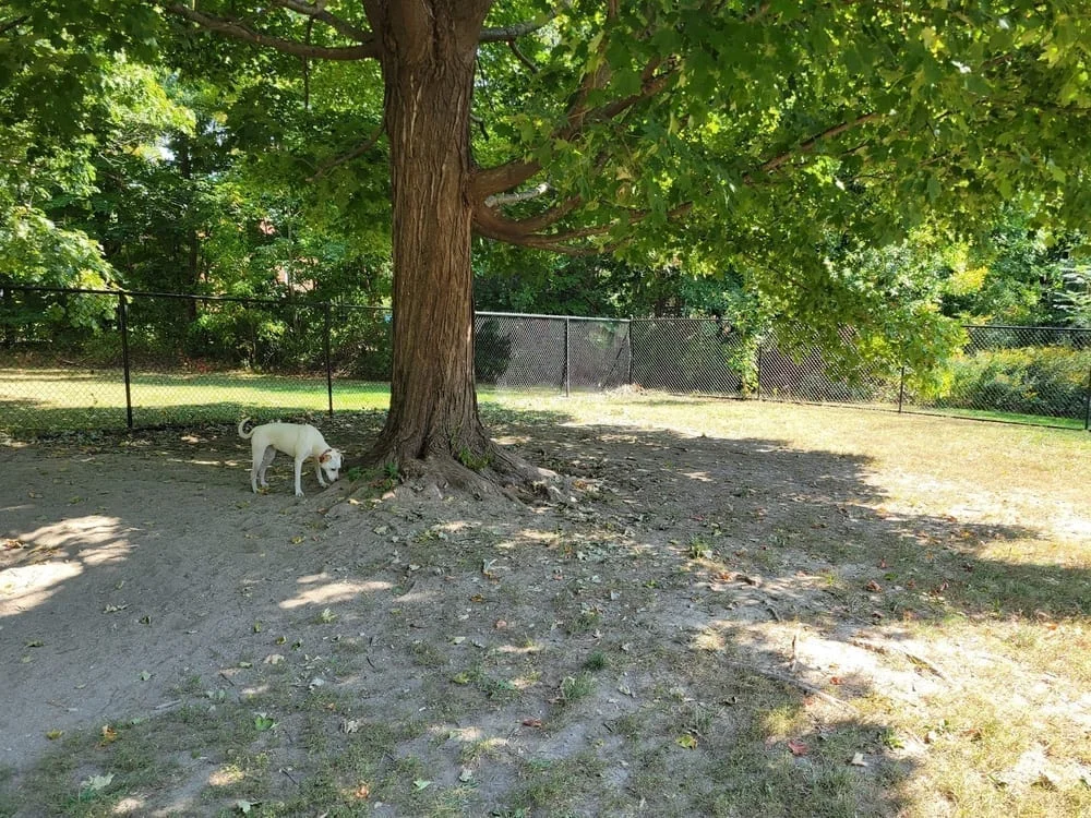 Saco Dog Park, photo 2