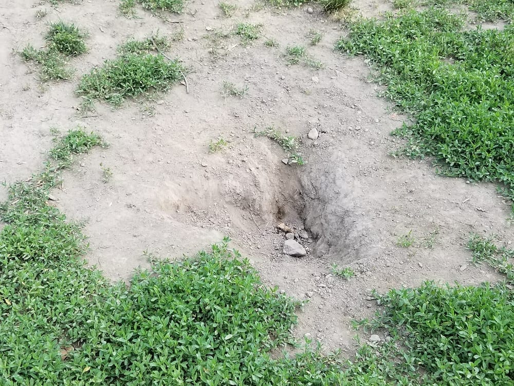 Saco Dog Park, photo 3