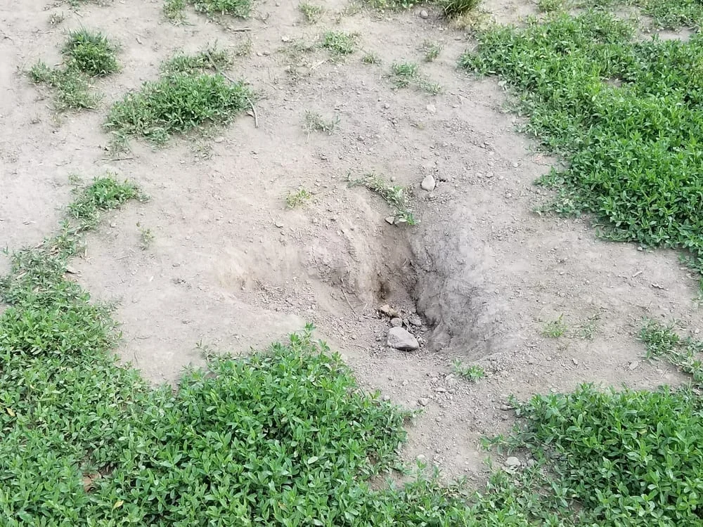 Saco Dog Park, photo 3
