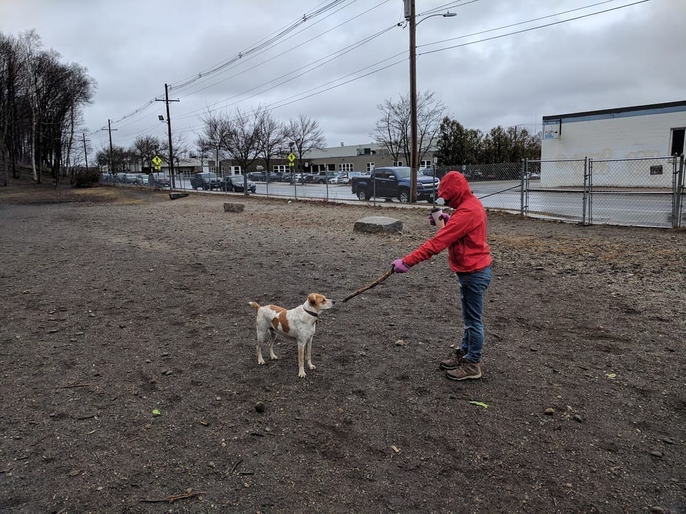Valley Street Dog Park, photo 2