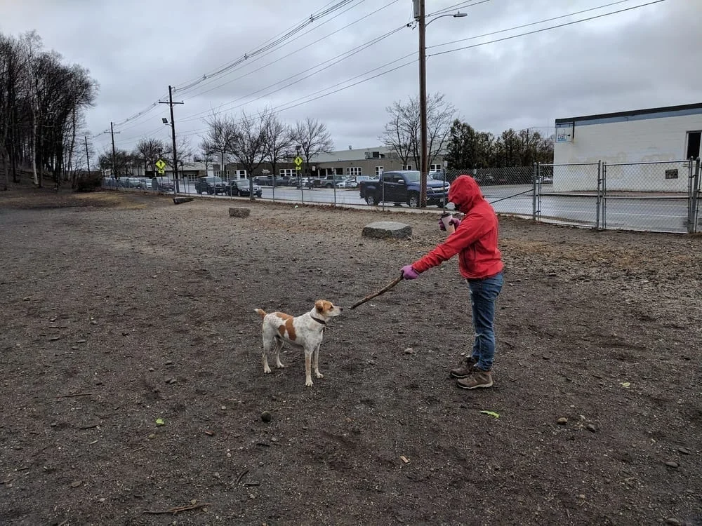 Valley Street Dog Park, photo 2