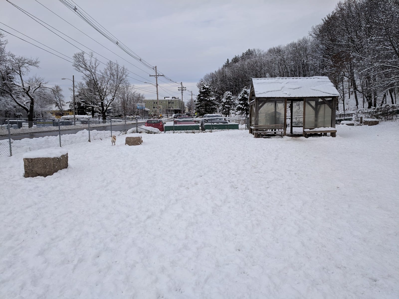 Valley Street Dog Park