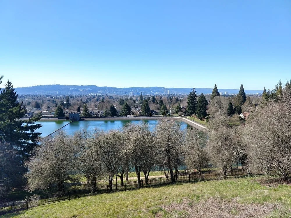Mt Tabor Park Off-Leash Dog Area, photo 2