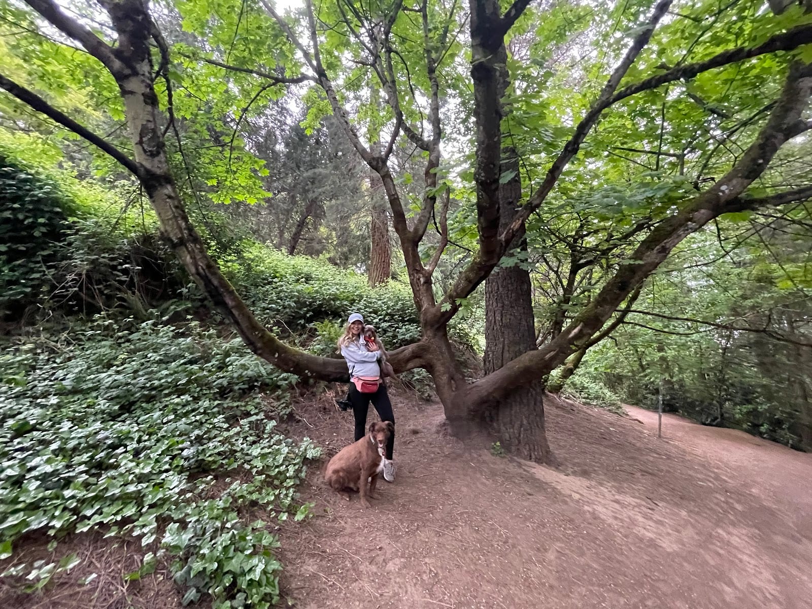 Mt Tabor Park Off-Leash Dog Area
