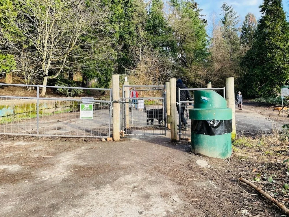 Mt Tabor Park Off-Leash Dog Area, photo 3
