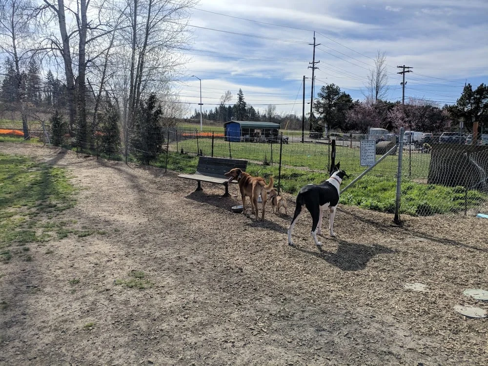 Potso Dog Park, photo 2