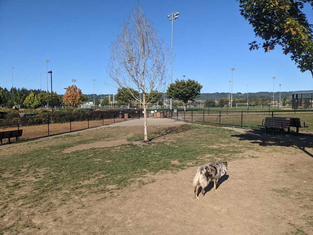 Rock Creek Dog Park, photo 2
