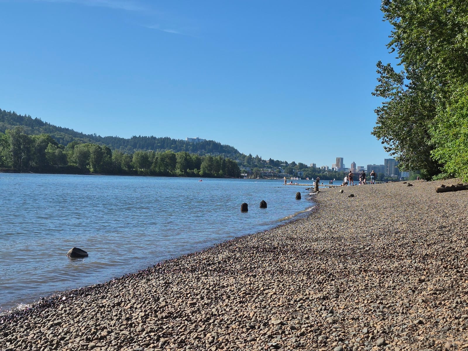 Sellwood Off-Leash Dog Park