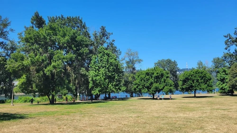 Sellwood Off-Leash Dog Park, photo 2