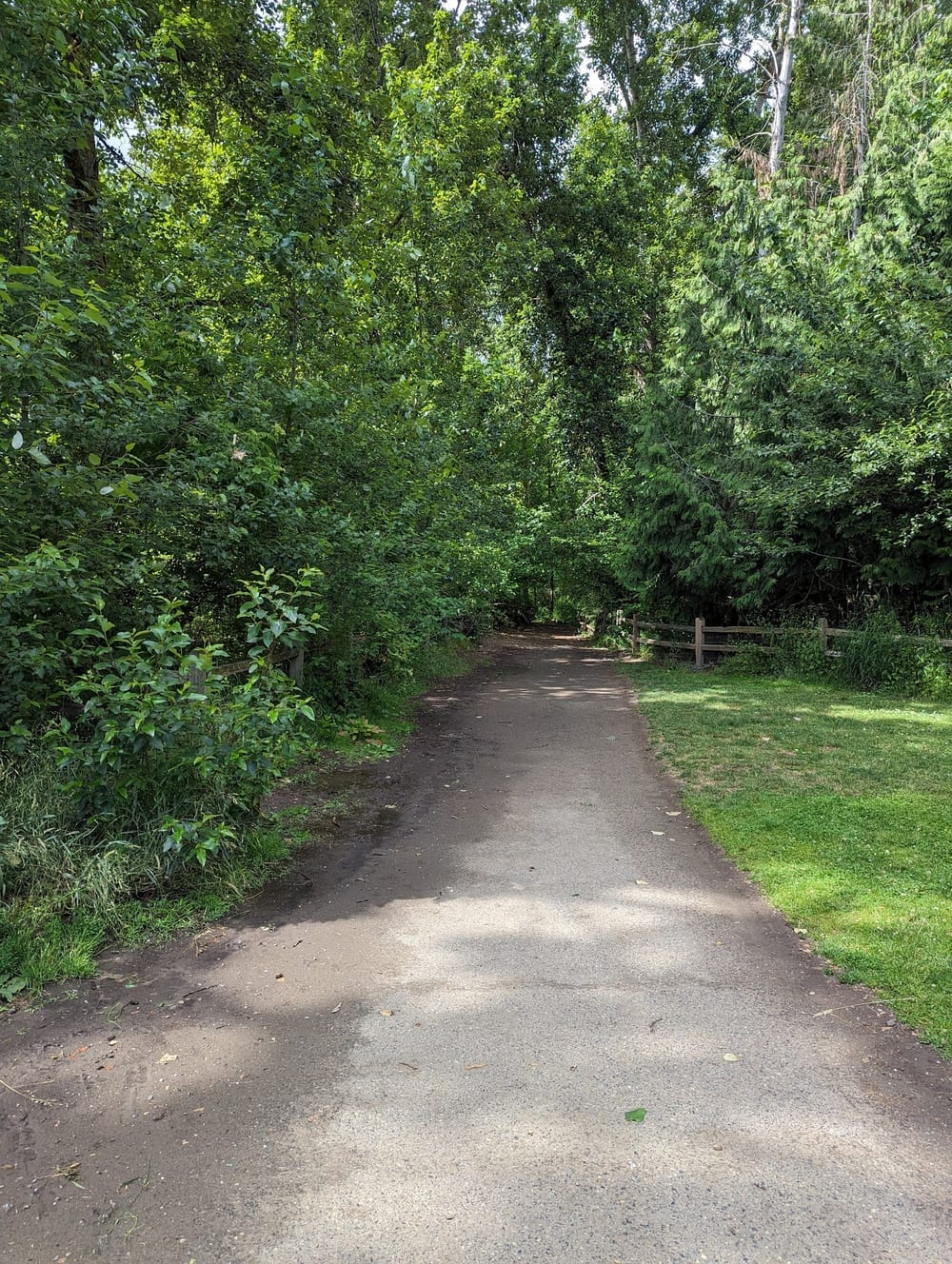Sellwood Off-Leash Dog Park, photo 3