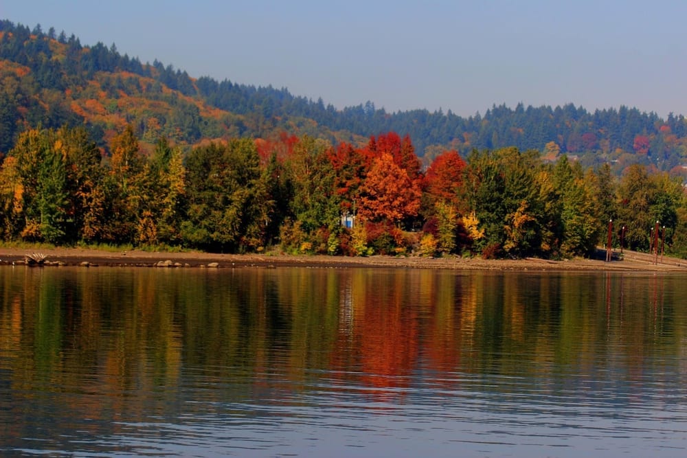 Sellwood Riverfront Park, photo 2