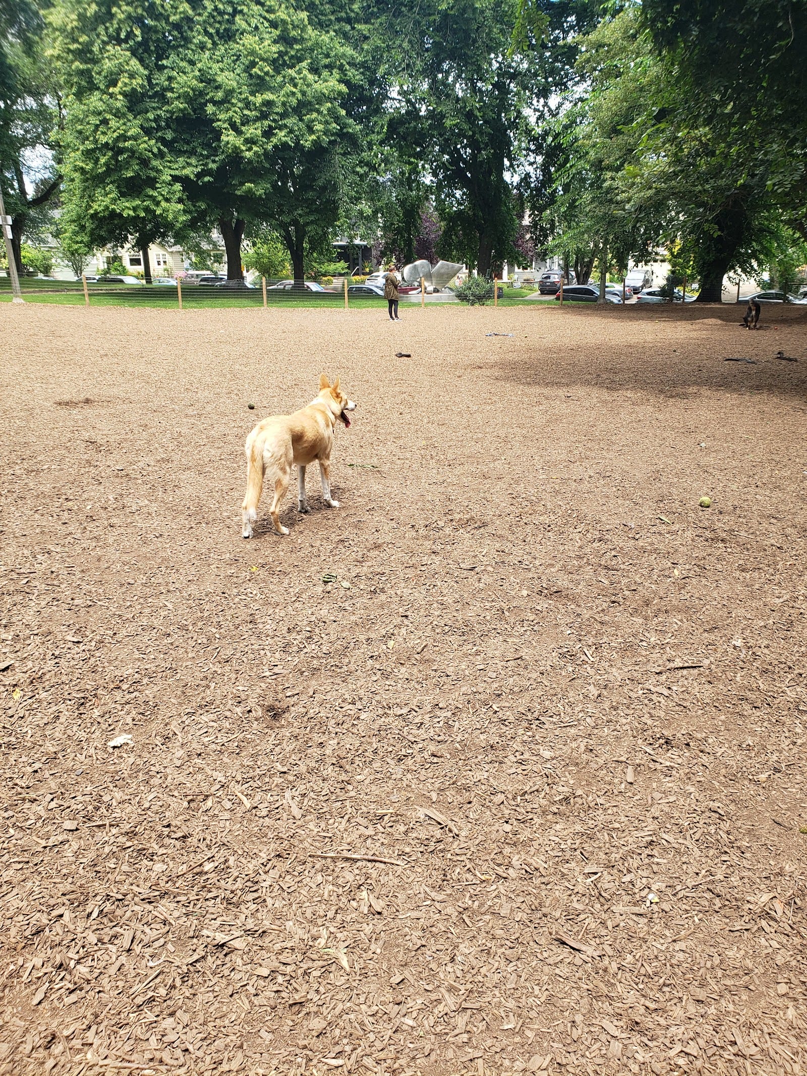 Wallace Dog Park