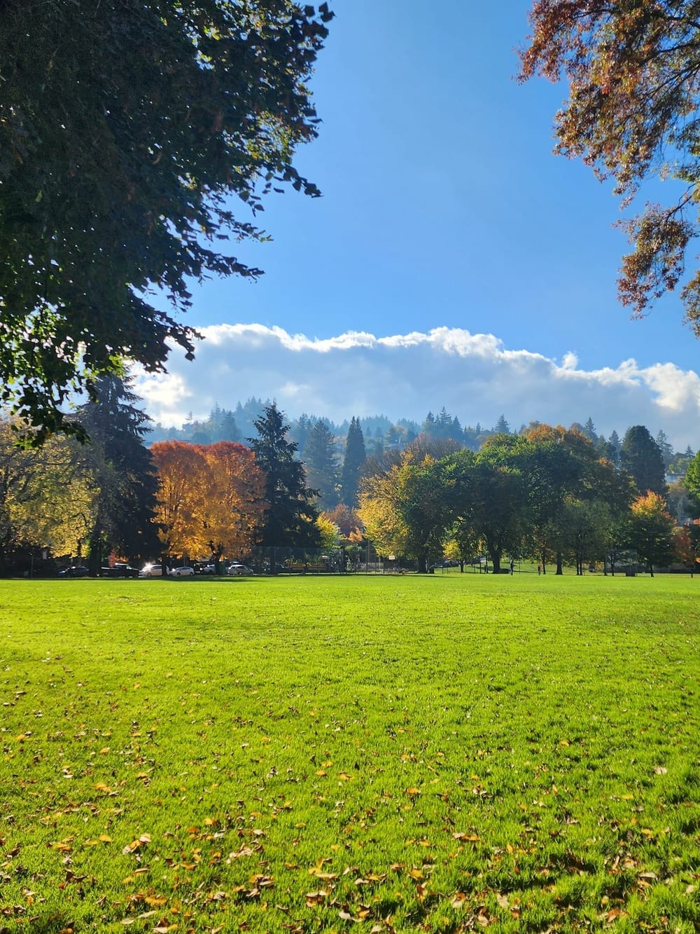 Wallace Dog Park, photo 3