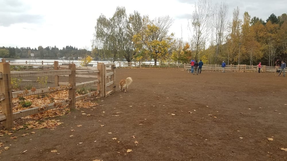 Willamette Park Off-Leash Dog Area, photo 2