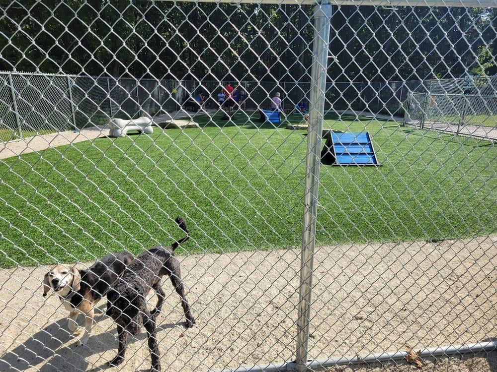 Fairlawn Dog Park, photo 3